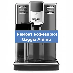 Чистка кофемашины Gaggia Anima от кофейных масел в Москве